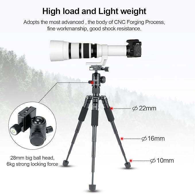 Koolehaoda Mini Tabletop Tripod with 360° Ball Head, 20" Portable - Black | Aluminum Desktop Tripod Stand for DSLR Camera Video Camcorder Phone Compact Lightweight Design, Load up to 11lbs - Image 6