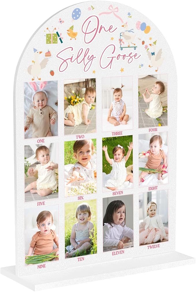 My First Year Photo Board Baby Milestone Signs One Year of Baby Photo Board, Best Babies Keepsake 10x14 Inches Acrylic Sign Decor Fits 2" x 3" Photo A07 by WelcometoMgfyfghj