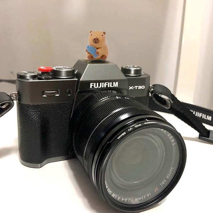Camera Hot Shoe Cover, Cute Hot Shoe Cap, Hot Shoe Protector Compatible with Sony Fujifilm Fuji Canon Nikon Pentax Leical Panasonic (2pcs Capybara) - Image 5