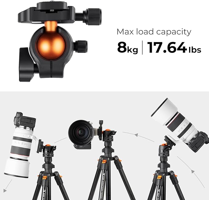 K&F Concept 64 inch/163cm Lightweight Aluminum Travel Camera Tripod | Compact and Portable, 360° Ball Head, Load Capacity 17.6lbs, DSLR Photography and Smartphone Live Streaming Vlog O234A1+BH-36 - Image 4