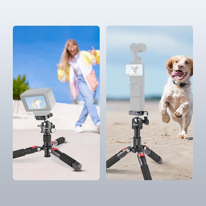 NEEWER Portable Travel Mini Tabletop Tripod, Aluminum Alloy 20''/ 50cm Desktop Desk Tripod with 360 Degree Ball Head, 1/4" Quick Shoe Plate for DSLR Camera Video Camcorder, Max Load 11 lb/5 kg - Image 9