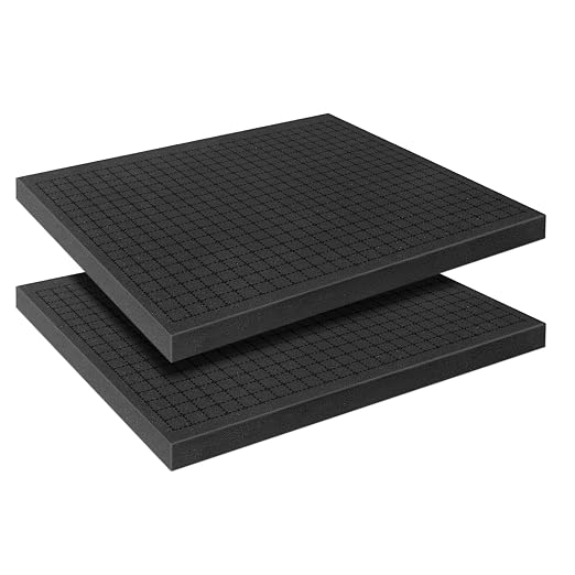 Pick and Pluck Foam Sheets, 2Pcs 16 x 12 x 1 Inch Pick Apart Foam Padding for Camera Storage, Crafts, Tool Box, Storage Drawer by YIENFBEV
