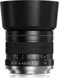 F 85mm f1.8 Portrait Lens - MF for Nikon D850/D750/D500/D7500/D610/D5600/D7200/D7000/D3500/D3400/D3300/D3200/D3100/D5/D6/D810//D7100/D5300/D5100/D800 - Manual Focus DSLR Cameras Lenses(F-Mount) by Lightdow