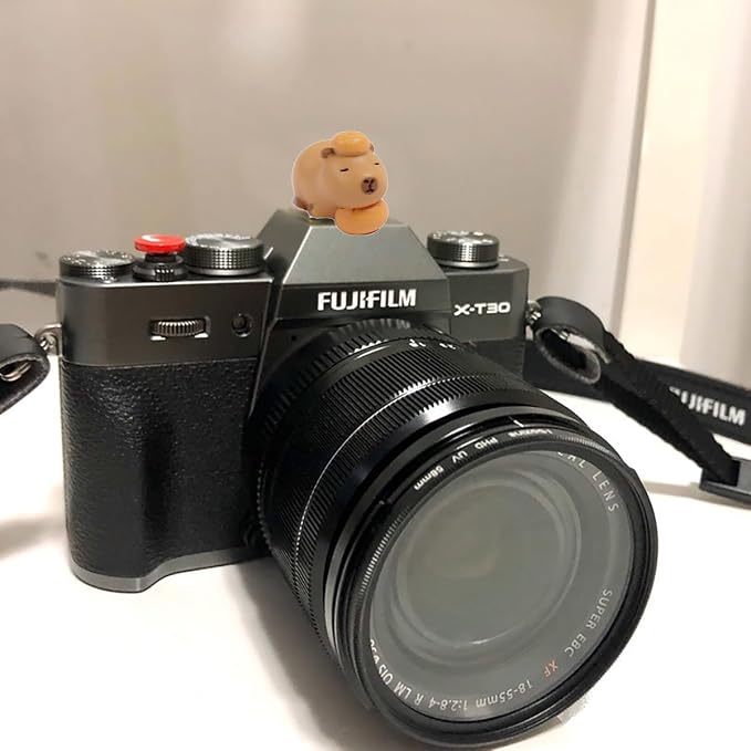 Camera Hot Shoe Cover, Cute Hot Shoe Cap, Hot Shoe Protector Compatible with Sony Fujifilm Fuji Canon Nikon Pentax Leical Panasonic (2pcs Capybara) - Image 6