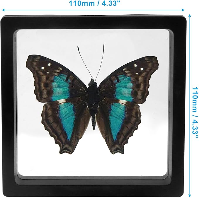 6Pcs 3D Floating Display Case, 4.3x4.3Inch | Clear Film, Jewelry Storage Box, Coin Display Stand, With Base - Image 5