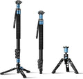SIRUI AM-404FL+QC-55 Aluminum Camera Monopod with Feet, QR Plate | 75.8" Height, 33LB Load, Quick Release Plate, Sony, Canon, Nikon, DSLR, Mirrorless Camera, Lightweight by SIRUI
