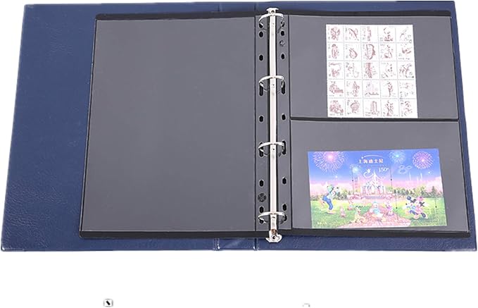 MUDOR Stamp Pages for Stamp Collection Album Binder Book, 10 Sheet 2 Row | 2 Pocket Stamp Sleeves for Collectors ,Stamp Collecting Sheets Supplies,Professional Pack - Image 7