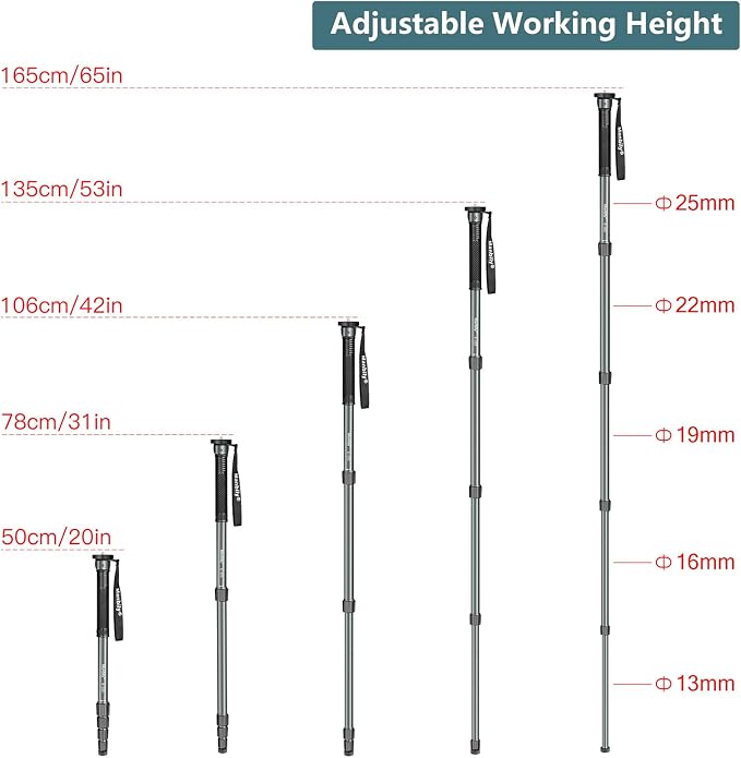 65-Inch Camera Monopod, 5 Sections Aluminum Travel Monopod for Canon Nikon Sony DSLR Cameras Video Camcorder, Compact Portable Lightweight（E-222） (Gray) - Image 5