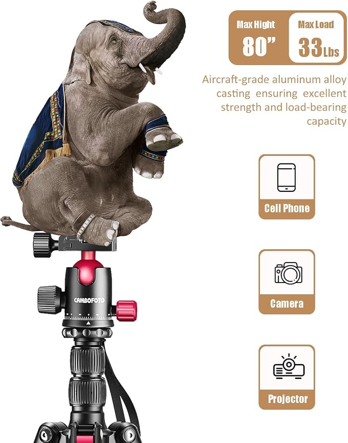 CAMBOFOTO 80"/205cm Camera Tripod, Aluminum Ball Head Tripod for Camera | Travel Tripod with 1/4" QR plate, Detachable Monopod, 33Lbs Load, for DSLR/Camcorder/Binoculars/Telescope/Spotting Scope - Image 2