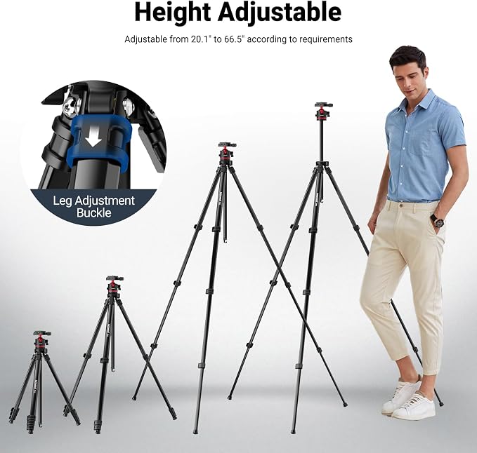 NEEWER Basics 66.5"/169 cm Travel Tripod for Camera, Lightweight Portable DSLR Stand with Ball Head, Arca Type QR Plate, Cell Phone Holder Compatible with iPhone Video Recording, Max Load 11 lb, TP12 - Image 7