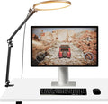 NEEWER Basics 10.5" Streaming Key Lighting, 3000-6500K 15W Full Screen LED Panel Ring Light with Adjustable Arm Stand Desk Clamp Timer for Laptop Computer Video Conference Zoom Makeup, R10 by Neewer