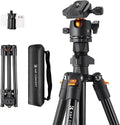 K&F Concept 64 inch/163cm Lightweight Aluminum Travel Camera Tripod | Compact and Portable, 360° Ball Head, Load Capacity 17.6lbs, DSLR Photography and Smartphone Live Streaming Vlog O234A1+BH-36 by KFCONCEPT