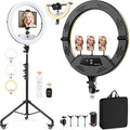 18" Foldable Ring Light with Stand for iPhone ipad Camera, 75" Tripod with Wheels 38W 6500K LED Display/Remote/2 USB Ports Large Big Ringlight Rolling for YouTube Facebook TikTok Live Video Recording by MACTREM