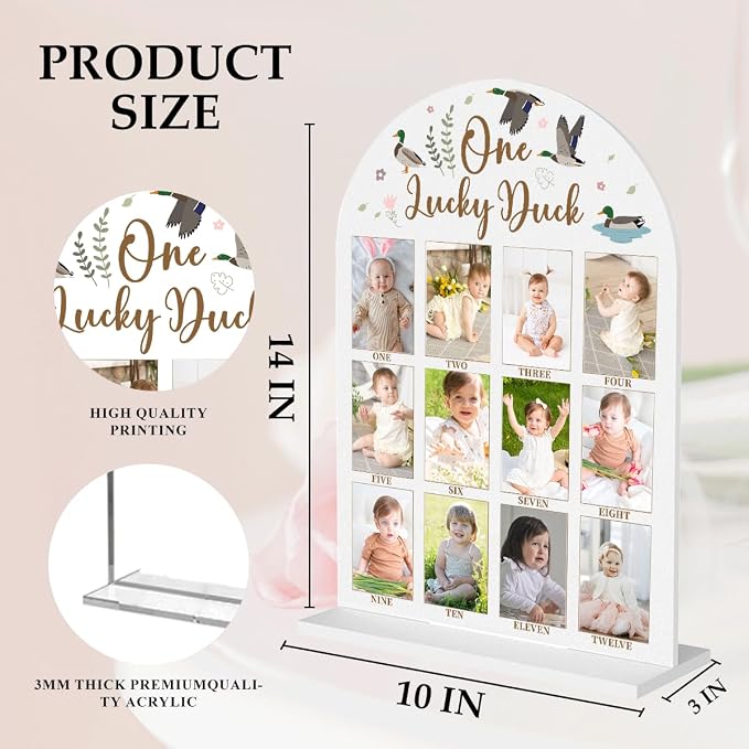 My First Year Photo Board Baby Milestone Signs One Year of Baby Photo Board, Best Babies Keepsake 10x14 Inches Acrylic Sign Decor Fits 2" x 3" Photo A10 - Image 2