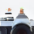 Camera Hot Shoe Cover, Cartoon Hot Shoe Cap, Hot Shoe Protector Compatible with Sony Fujifilm Fuji Canon Nikon Pentax Leical Panasonic (2pcs Fly Capybara) by MENGSOOD