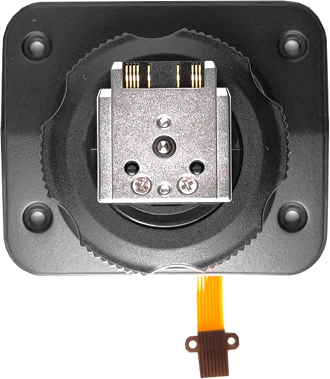 Godox Hot Shoe Replacement Mount Foot, Speedlite Flash Repair Parts Flash Hotshoe Replacement (TT600S Hot Shoe) by GODOX