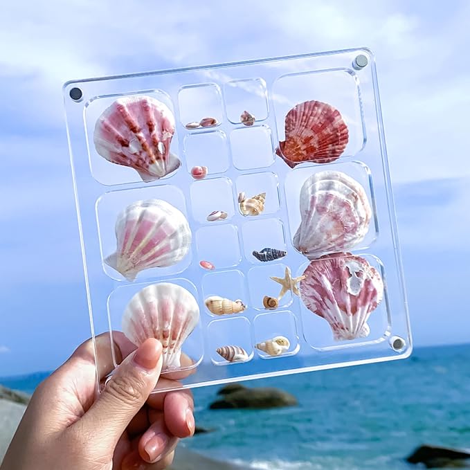 Acrylic Magnetic Seashell Display Case HD Panel with Tweezers | Large Upgraded Grids with Magnetic Snap, a Seashell Display Box for Collecting Shells, Jewelry, Crystals, Beads - Image 4
