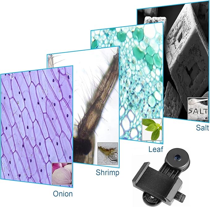 Smartphone Camera Adapter for Microscope Eyepiece Tube 23.2mm - Built-in 16X Microscope Eyepiece - Image 7