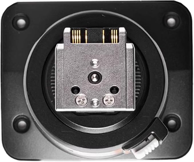 Godox Hot Shoe Replacement Mount Foot, Speedlite Flash Repair Parts Flash Hotshoe Replacement (TT685II-S Hot Shoe) by GODOX