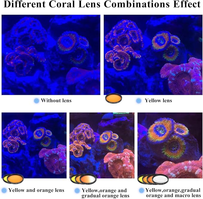 Coral Lens Aquarium Reef Filter Lens Kits for Phone 8 Coral Lenses Kit Including Orange Gradual-Orange Yellow Gradual-Yellow Pink Macro Start and Polarized CPL len - Image 4