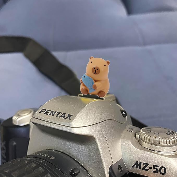 Camera Hot Shoe Cover, Cute Hot Shoe Cap, Hot Shoe Protector Compatible with Sony Fujifilm Fuji Canon Nikon Pentax Leical Panasonic (2pcs Capybara) - Image 4