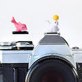 Camera Hot Shoe Cover, Cartoon Hot Shoe Cap, Hot Shoe Protector Compatible with Sony Fujifilm Fuji Canon Nikon Pentax Leical Panasonic (2pcs Seal Dolphin) by MENGSOOD