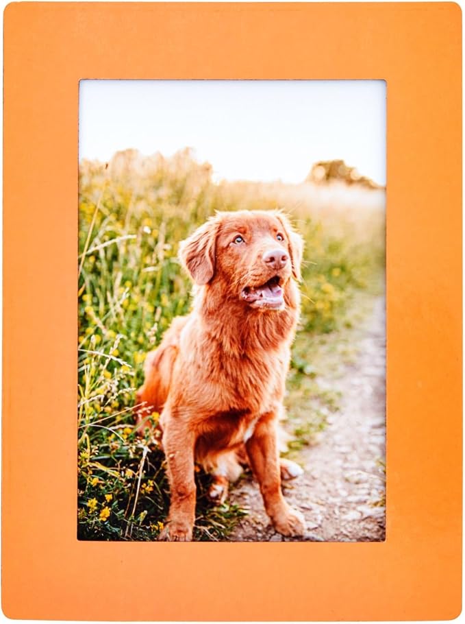 Juvale Colorful Magnetic Picture Frames - Multi-Surface Display with Refrigerator Magnet - Easy Photo Swap Magnetic Picture Frame - Locker Accessories - Pack of 15, 6.25 x 4.7 in, Fits 4"x 6" Photos - Image 6
