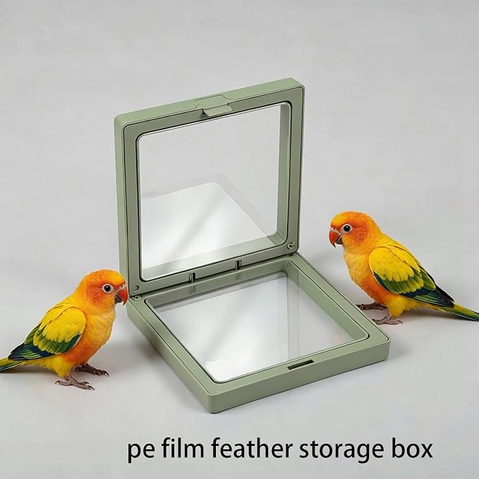 Pet Bird Feather Storage Box Small Compact Bird Display Box Parrot Colorful Feather Permanent PE Film Container HD Transparent Blocking Air Anti-Pollution (Green 2 Pack) - Image 9