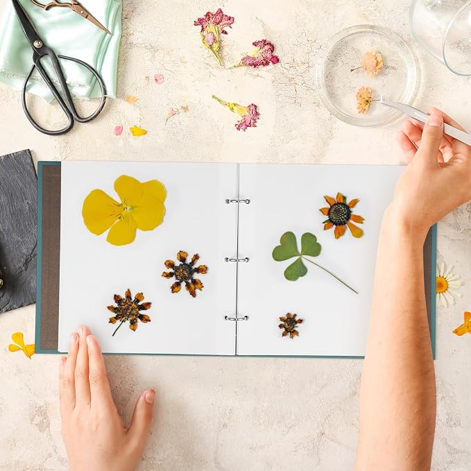 Ciieeo Pressed Dried Flowers Pocket Organizer Pouch Travel Photo Albums Loose-leaf Dried Flower Storage Floral Preservation Album Dried Flowers Holder Album Scrapbook Holder Storage Bags - Image 8