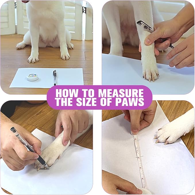 EXPAWLORER Anti Slip Dog Socks to Prevent Licking Paws, Dog Shoes for Hot Pavement, Dog Booties for Small Medium Large Senior Dogs, Traction Control Boots & Paw Protectors for Hardwood Floors - Image 3
