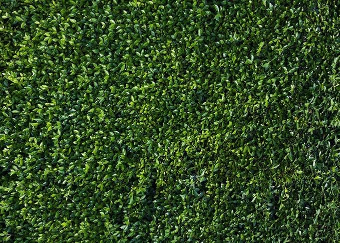 Nature Spring 3D Green Leaves Theme Photo Background Wedding Birthday Party Newborn Baby Shower Photography Backdrops Zoo Decor Shoot Props Bannner (5x3 FT) - Image 7