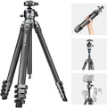 NEEWER LITETRIP LT38 61" Travel Tripod Carbon Fiber for Camera, 360° Pan Tilt Low Profile Ball Head, Flexible Center Axis, Arca QR Plate Compatible with PD, Max Load 22lb by Neewer