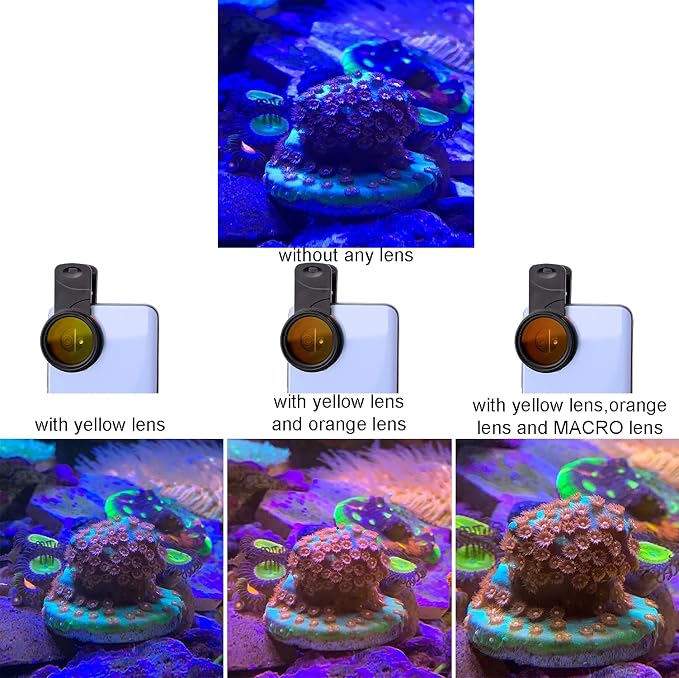 Coral Lens Set, Smartphone Reef Lens Kits, 1 Dust Case, 2 Clips, 8 Lenses: Yellow, Orange, Gradual Yellow Orange Pink, Star6, CPL, Macro - Image 4