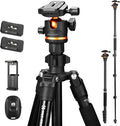 K&F CONCEPT 76" Travel Tripod for Camera | 360° Ball Head w/ Phone Holder, 17.6lbs Max Load, Detachable Monopod, Compact Tripod for DSLR/Phone, O275A5+BH-36 by KFCONCEPT