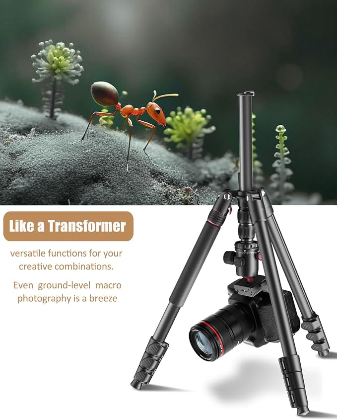 CAMBOFOTO 80"/205cm Camera Tripod, Aluminum Ball Head Tripod for Camera | Travel Tripod with 1/4" QR plate, Detachable Monopod, 33Lbs Load, for DSLR/Camcorder/Binoculars/Telescope/Spotting Scope - Image 4