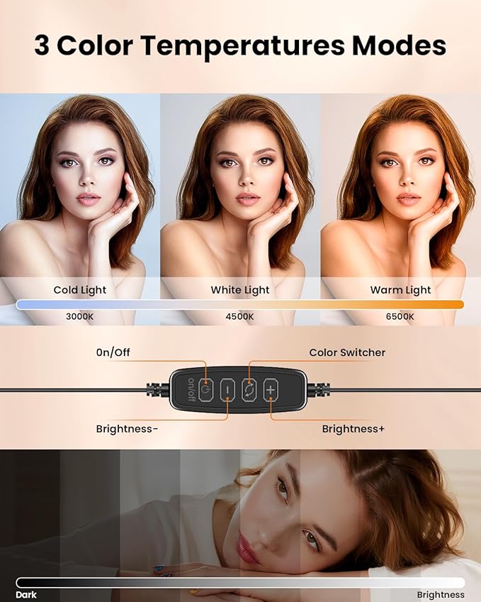 Evershop Ring Light for Laptop Desk Clip On,Small Computer Video Conference Lighting with Stand for Phone/Webcam/Monitor,5" Portable Mini LED Selfie Light Desktop for Zoom Meeting/Video Call/Recording - Image 5