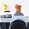 Camera Hot Shoe Cover, Cartoon Hot Shoe Cap, Hot Shoe Protector Compatible with Sony Fujifilm Fuji Canon Nikon Pentax Leical Panasonic (2pcs Goose Capybara) by MENGSOOD