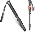 Camera Monopod 69-Inch 32mm Tube Carbon Fiber Walking Stick Monopods for Cameras 6 Sections Portable Compact Travel with Handle, Phone Clip Max. 33lbs for DSLR Video Camcorder Stand (C-666L) by Manbily