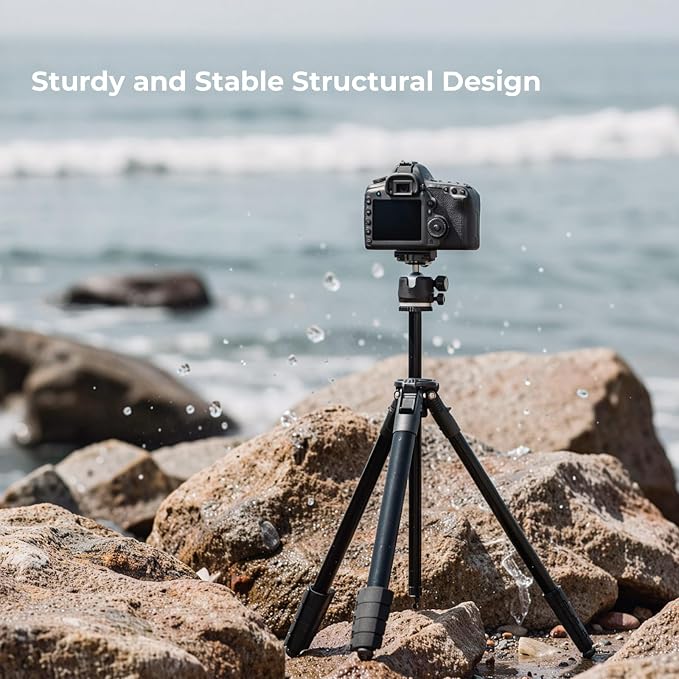 72" Travel Tripod for Camera and Phone, Lightweight Aluminum Tripod with Arca Ball Head, Phone Holder, Quick-Release Plate, Wireless Remote & Carry Bag for DSLR Smartphone Video Recording - Image 6