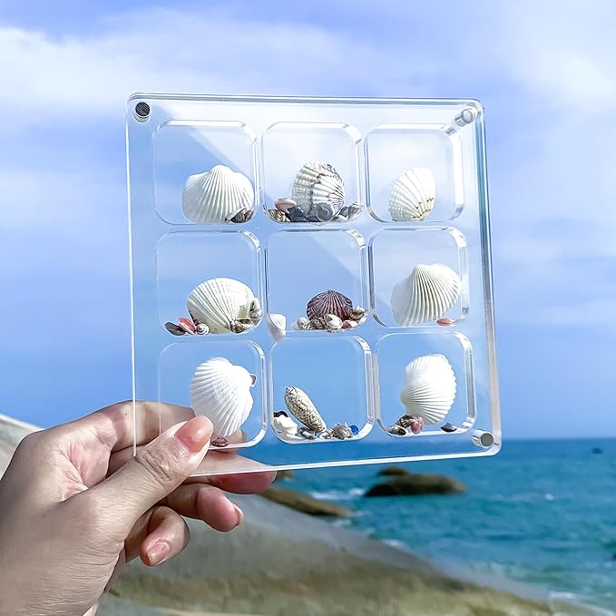 Acrylic Magnetic Seashell Display Case HD Panel with Tweezers | Large Upgraded Grids with Magnetic Snap, a Seashell Display Box for Collecting Shells, Jewelry, Crystals, Beads - Image 4