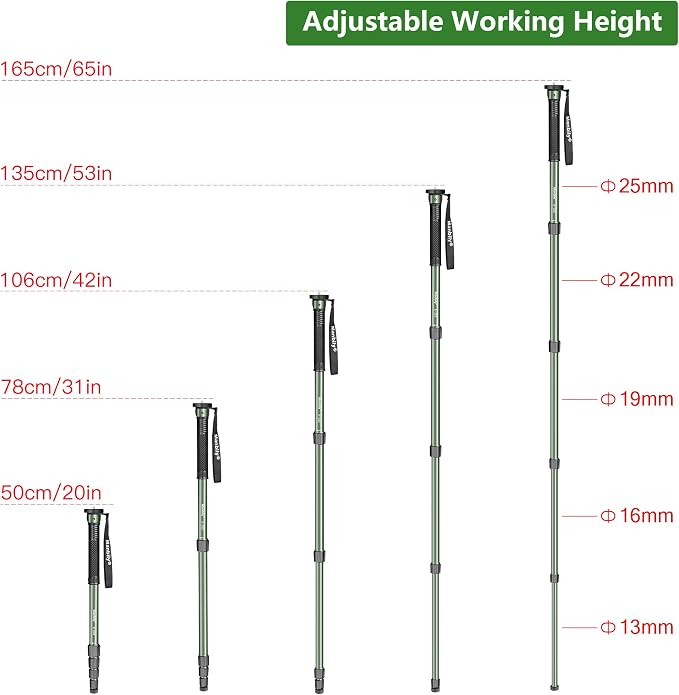 65-Inch Camera Monopod, 5 Sections Aluminum Travel Monopod for Canon Nikon Sony DSLR Cameras Video Camcorder, Compact Portable Lightweight（E-222） (Green) - Image 5