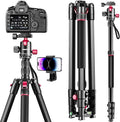 CAMBOFOTO 80"/205cm Camera Tripod, Aluminum Ball Head Tripod for Camera | Travel Tripod with 1/4" QR plate, Detachable Monopod, 33Lbs Load, for DSLR/Camcorder/Binoculars/Telescope/Spotting Scope by CAMBOFOTO