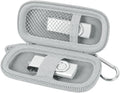 USB Flash Drive Case, SD Card/Thumb Drive/Memory Cards Holder, Bag Only | SDXC/SDHC Storage, Electronic Accessories Organizer for SanDisk / for Samsung, for Students/IT/Office/School/Travel, Silver by ALKOO