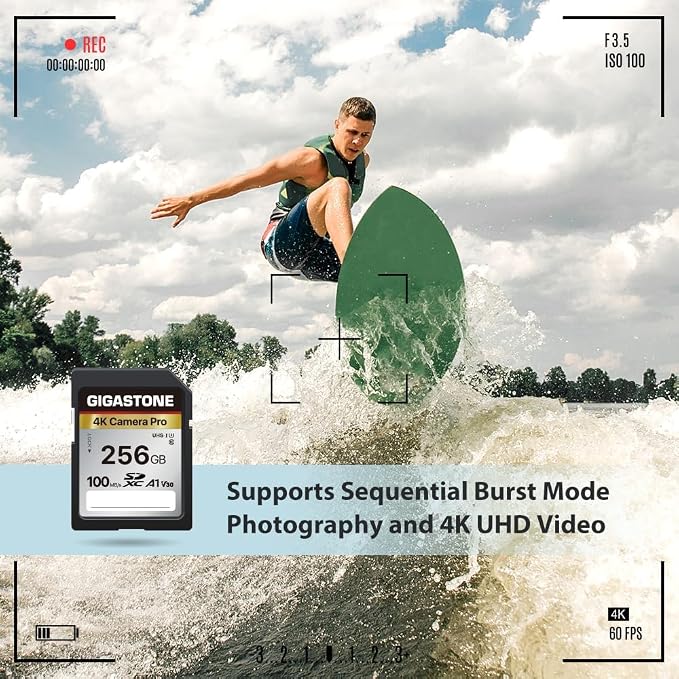 【5-Years Data Recovery】 GIGASTONE 256GB SD Card with USB Type C Card Reader, 4K Camera Pro, UHS-I A1 V30 U3 SDXC Memory Card Speed up to 170MB/s Compatible with Digital Camera, with 1 mini case - Image 6