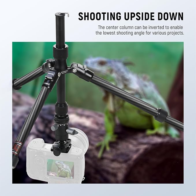 NEEWER Carbon Fiber Camera Tripod Monopod, 65" Lightweight Compact Portable Travel DSLR Video Stand, 360° Ball Head, Anti Slip QR Plate, Inverted Central Axis, Reversible Legs, Max Load 13.2 lbs, TP39 - Image 4