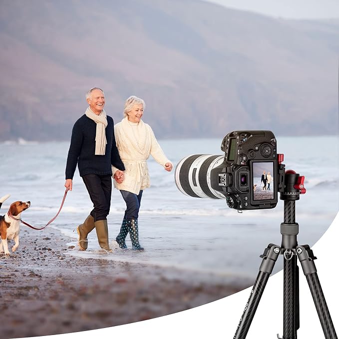 SmallRig 360 Rotating Panoramic Tripod Ball Head, Max Load 5kg / 11lbs | 360 Ballhead with 1/4 inch Quick Shoe Plate, for Tripod Monopod Slider DSLR Camera Camcorder - Image 7