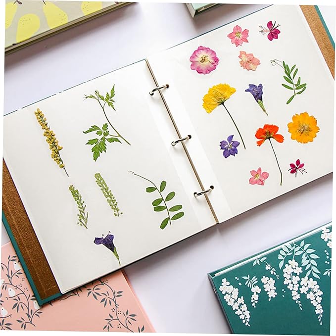 Ciieeo Pressed Dried Flowers Pocket Organizer Pouch Travel Photo Albums Loose-leaf Dried Flower Storage Floral Preservation Album Dried Flowers Holder Album Scrapbook Holder Storage Bags - Image 2
