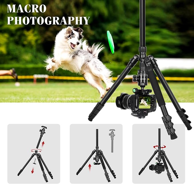 2 in 1 Camera Tripod & Hunting Stand Foldable, 68" Ball Head Tripod for Camera and Phone, Heavy Duty Tripod for DSLR Camera Lasers Binoculars Telescope Spotting Scope, Min Size 16.5" with Bag - Image 8
