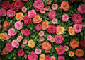 Floral Backdrop for Photography Mother's Day Backdrop Wedding Backdrops Spring Flower Photography Backdrop Backdrops for Photographers Studio Props 10X8FT 049 by Hnzwbxg