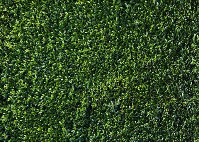 Nature Spring 3D Green Leaves Theme Photo Background Wedding Birthday Party Newborn Baby Shower Photography Backdrops Zoo Decor Shoot Props Bannner (9X6 FT) - Image 6